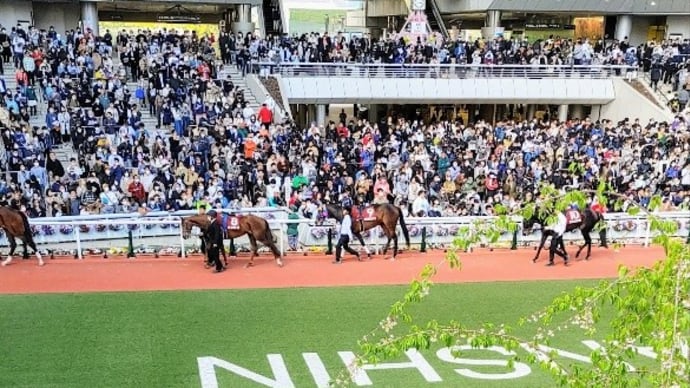 🐴おうまさん(23/4/9) 京葉S,モルガナイトS,🌼忘れな草賞,地方3重賞