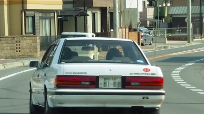 8代目 ブルーバード