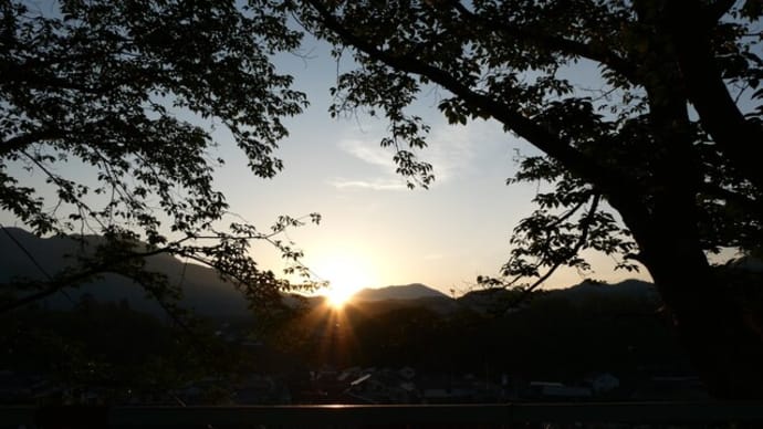 早朝ウォーキング