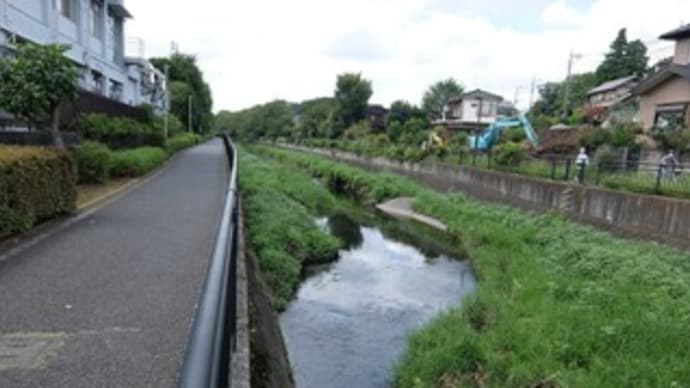 2023東京河川ポタリング『黒目川』⑤落馬橋~下里氷川神社