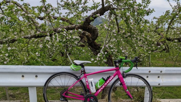 4月のラストラン