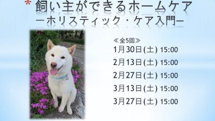飼い主ができるホームケア「しつけ編」