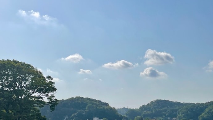 投票日和