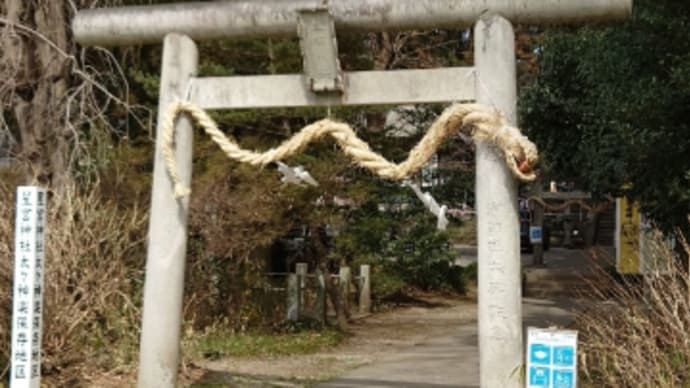 三月 月参り