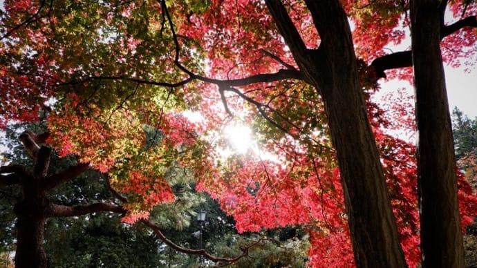 紅葉の信州へ~秋★旅