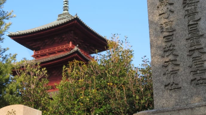 戦後の国民的英雄（テレビ普及に貢献）！昭和を代表するヒーローのお墓に行ってきました。