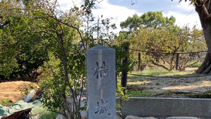 楠城訪問