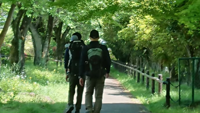 加治丘陵ハイキング