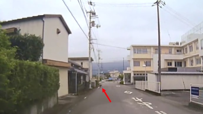 町中(まちなか)に猿!?