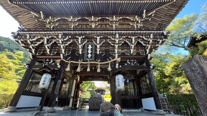 西国第二十番札所 善峯寺(よしみねてら)