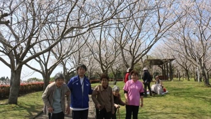 瀬戸公園のサクラ満開^^