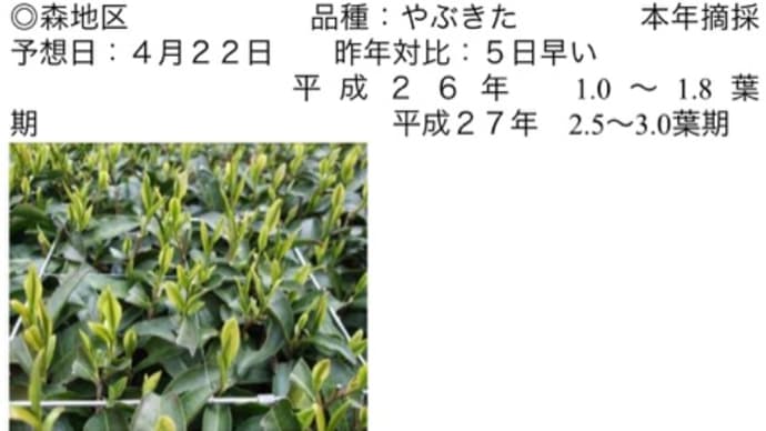 新茶通信 第三弾