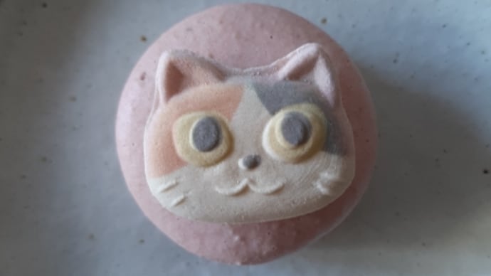 今日の春いろ