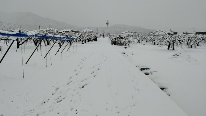 春分の日