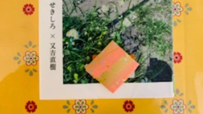 「蕎麦湯が来ない」せきしろ,又吉直樹 2021-86