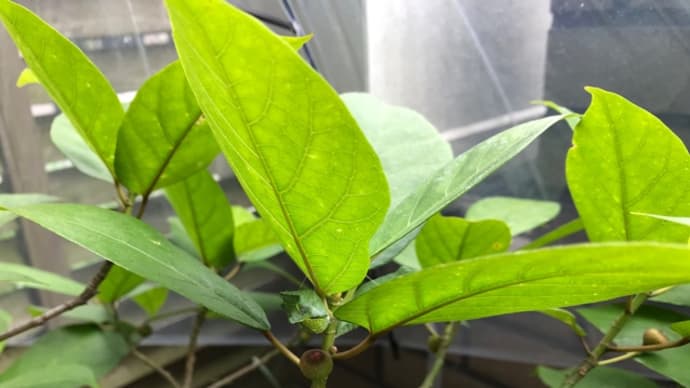 配慮と思索