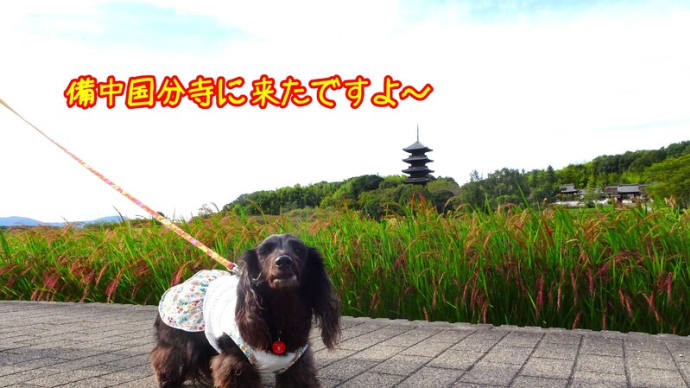 備中国分寺で お散歩