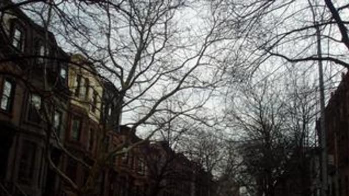 THE NEW YORK TRILOGY