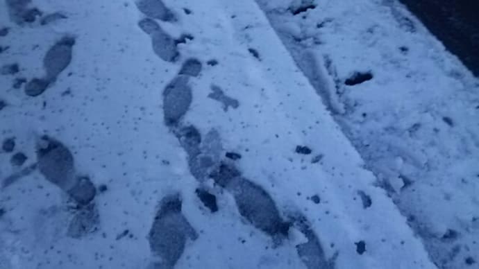 大雪警報と忘年会