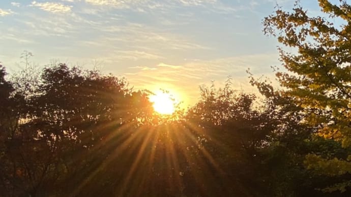 貪瞋痴の煩悩の排除がとても大切らしい