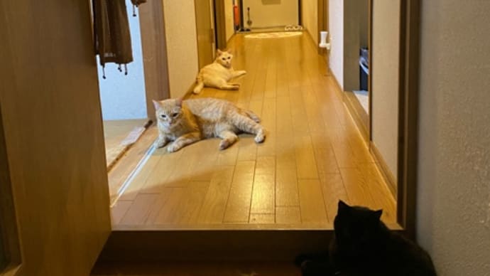 今日も真夜中