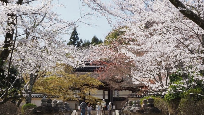 園城寺 三井寺をてくてく......