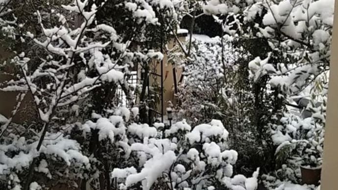 2021-12-27 雪景色