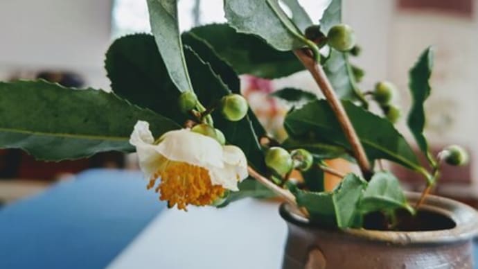 秋を告げる茶の花☆10月お菓子教室レッスン始まりました。