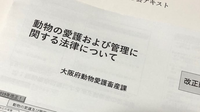 20190919