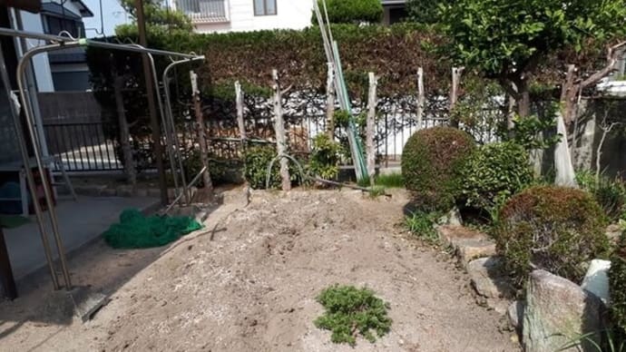 最後の野菜作り挑戦!?
