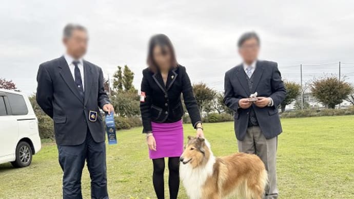 コリークラブ 群馬支部展 鳥取支部展