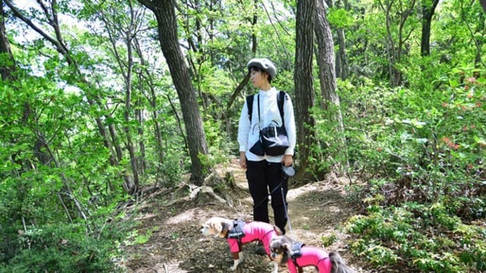 犬と日和田山に行ってきました♪(その2)
