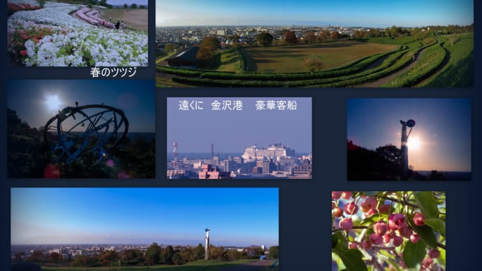 ●大乗寺丘陵公園から 豪華クルーズ船が見えました MSCベリッシマ 金沢市内の眺望・パノラマで マユミの実 観賞用トウガラシ 彫刻の丘