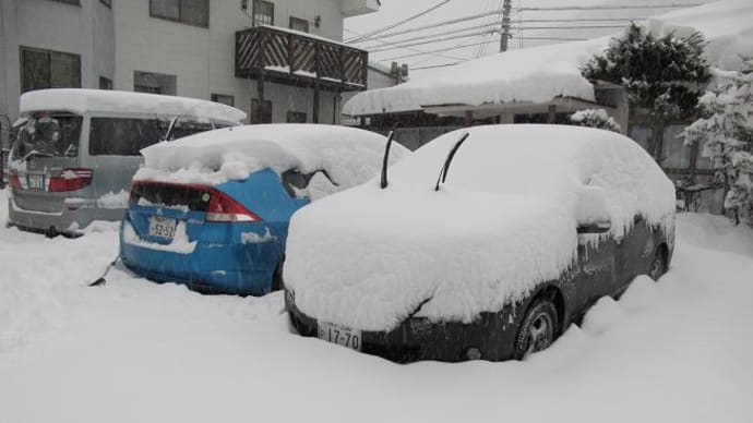  2013/01/15（火）：大雪になってしまいました。