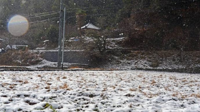 雪景色