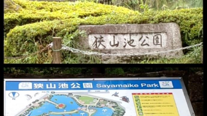 狭山池公園と畑の様子
