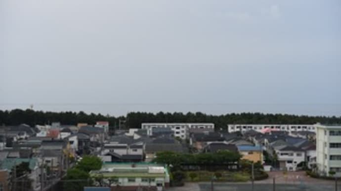 もう少し日差しがあれば