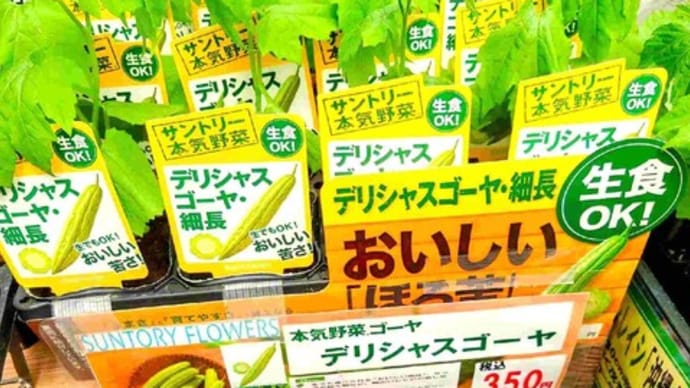 夏野菜の準備
