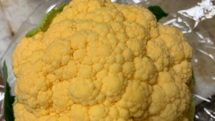まるでメロンパン・・・に見えるコレは?