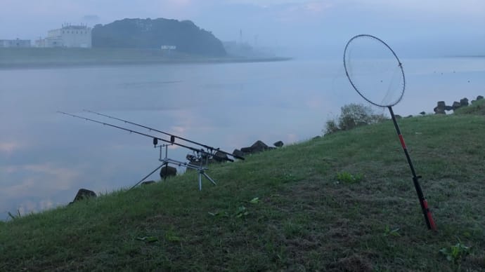 11月8日の鯉釣り