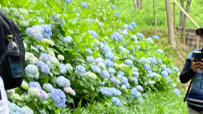 孫と森林植物園へ