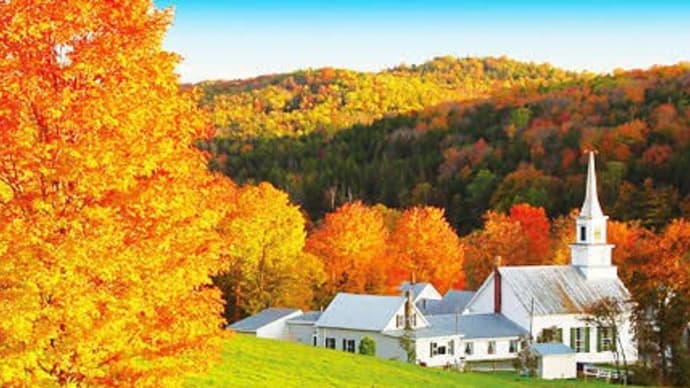 紅葉を見るならどこに行く?➡ヴァーモントと見せかけて京都嵐山❗