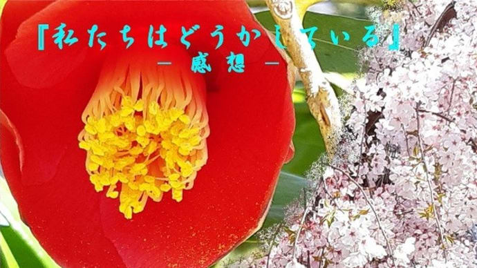 『私たちはどうかしている』全話あらすじ・ネタバレ感想!和服の流星色っぽ