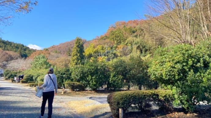 毛呂山町ゆずの里オートキャンプ場 その➂