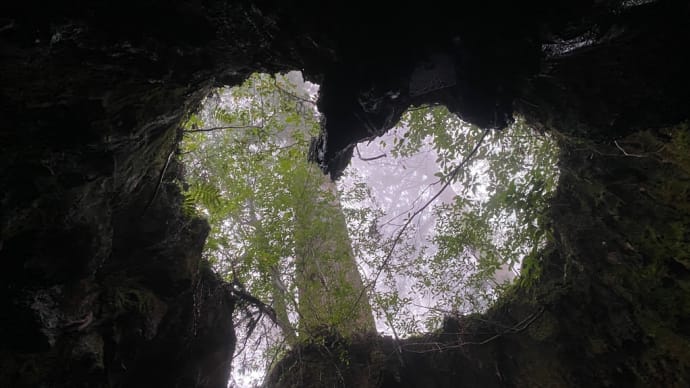 淀川登山口in荒川登山口out 日帰り宮之浦岳後編