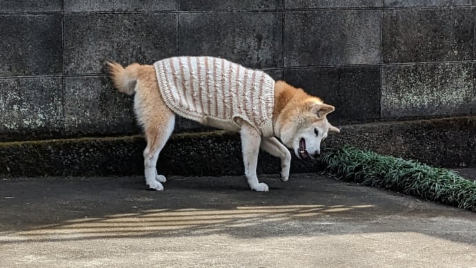 温かい日は外で・・