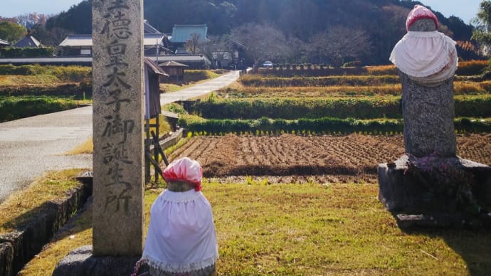 歴史紀行 12 橘 寺