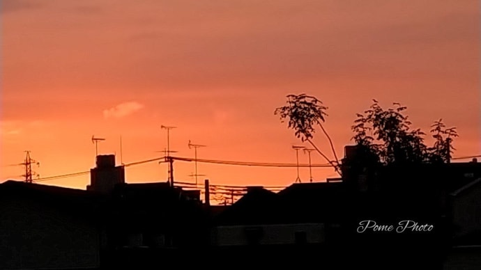 早朝の空模様♪