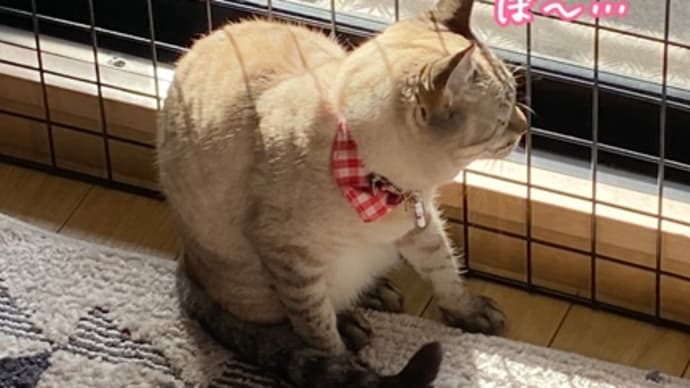 眠いとそんな座り方?