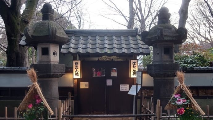 上野東照宮ぼたん苑 (2024年1月1日~2月25日開園)